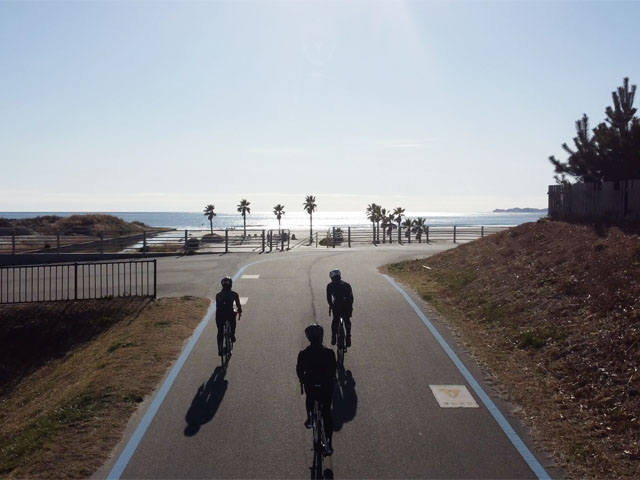 サイクルルート